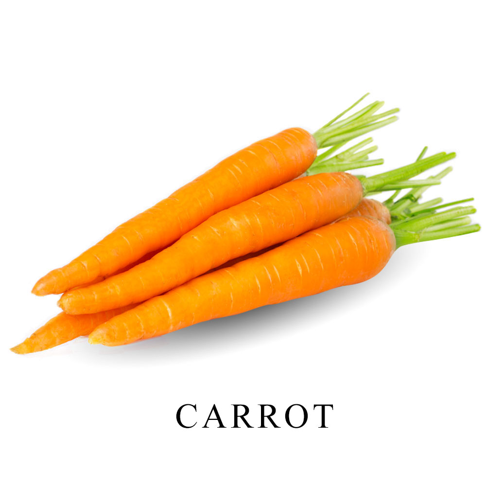 Carrot