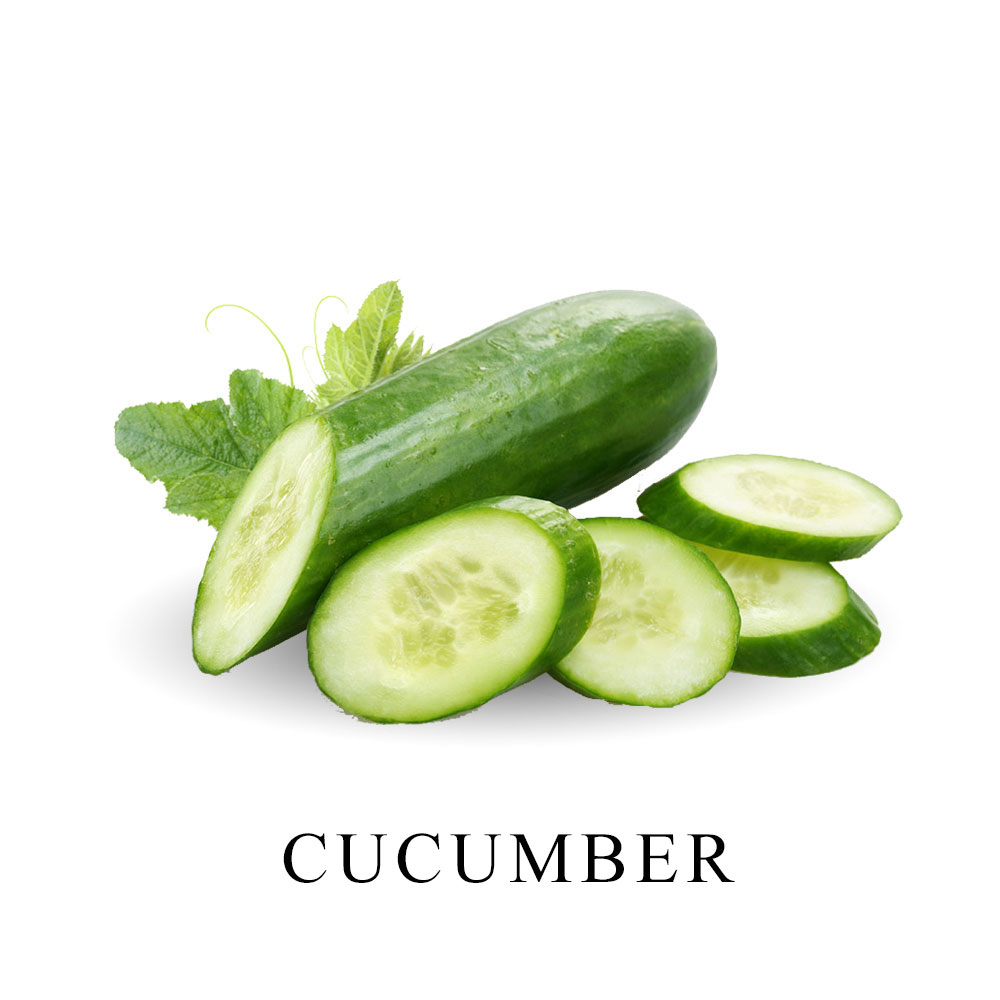 Cucumber