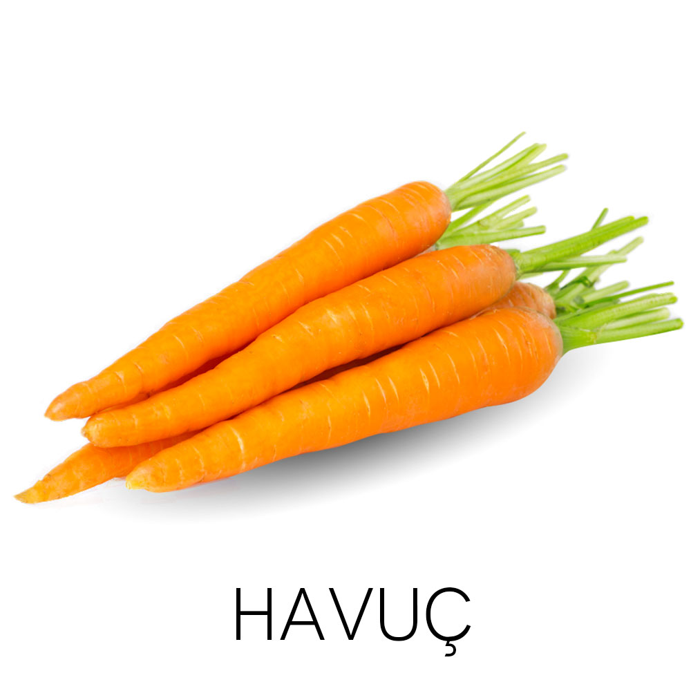 Havuç