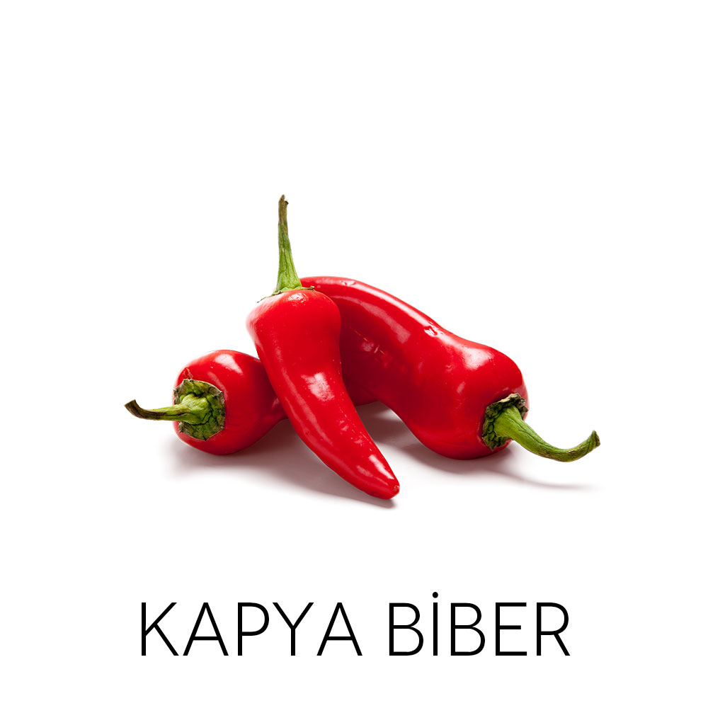 Kapya Biber