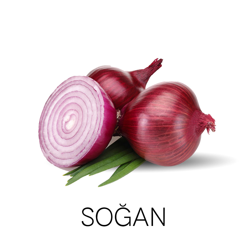 Soğan