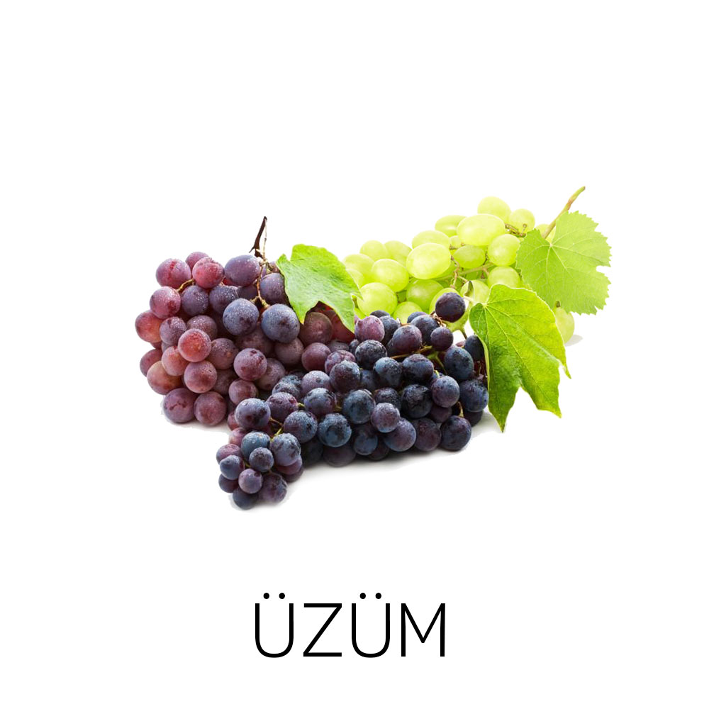 Üzüm